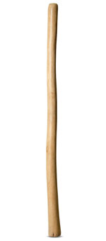 Natural Finish Didgeridoo (TW808)